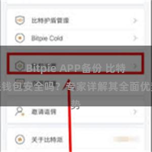 Bitpie APP备份 比特派钱包安全吗？专家详解其全面优势