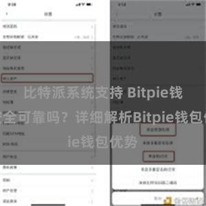 比特派系统支持 Bitpie钱包安全可靠吗？详细解析Bitpie钱包优势