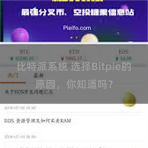 比特派系统 选择Bitpie的原因，你知道吗？