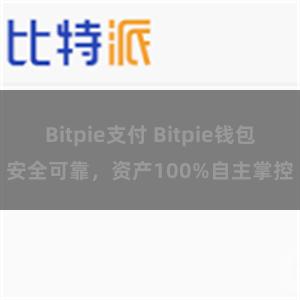 Bitpie支付 Bitpie钱包安全可靠，资产100%自主掌控