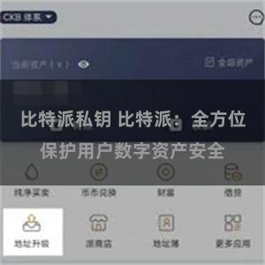 比特派私钥 比特派：全方位保护用户数字资产安全