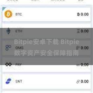 Bitpie安卓下载 Bitpie数字资产安全保障指南