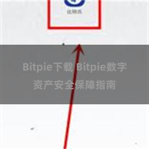 Bitpie下载 Bitpie数字资产安全保障指南