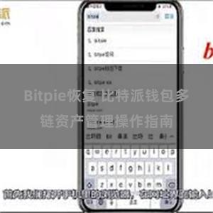 Bitpie恢复 比特派钱包多链资产管理操作指南