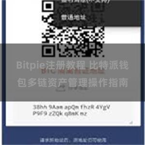 Bitpie注册教程 比特派钱包多链资产管理操作指南