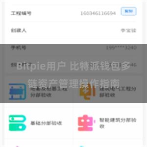 Bitpie用户 比特派钱包多链资产管理操作指南