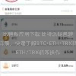 比特派应用下载 比特派钱包转账教程详解，快速了解BTC/ETH/TRX转账操作