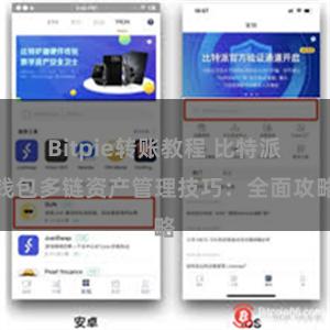 Bitpie转账教程 比特派钱包多链资产管理技巧：全面攻略