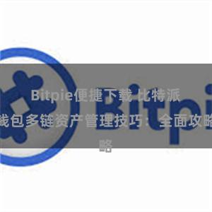 Bitpie便捷下载 比特派钱包多链资产管理技巧：全面攻略