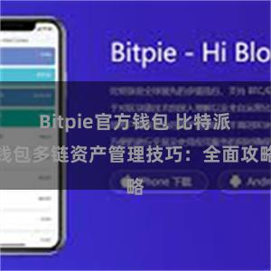 Bitpie官方钱包 比特派钱包多链资产管理技巧：全面攻略