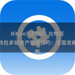 Bitpie用户指南 比特派钱包多链资产管理技巧：全面攻略