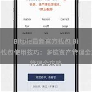 Bitpie最新官方钱包 Bitpie钱包使用技巧：多链资产管理全攻略