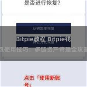 Bitpie教程 Bitpie钱包使用技巧：多链资产管理全攻略