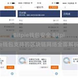 Bitpie钱包安全 Bitpie钱包支持的区块链网络全面解析
