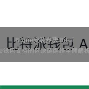 Bitpie安装步骤 Bitpie钱包支持的区块链网络全面解析