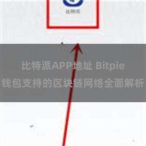 比特派APP地址 Bitpie钱包支持的区块链网络全面解析