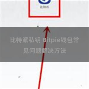 比特派私钥 Bitpie钱包常见问题解决方法
