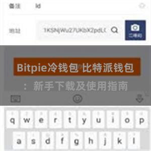 Bitpie冷钱包 比特派钱包：新手下载及使用指南