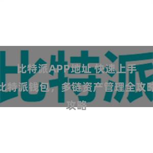 比特派APP地址 快速上手比特派钱包，多链资产管理全攻略