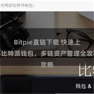 Bitpie直链下载 快速上手比特派钱包，多链资产管理全攻略