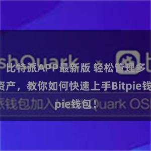 比特派APP最新版 轻松管理多链资产，教你如何快速上手Bitpie钱包！