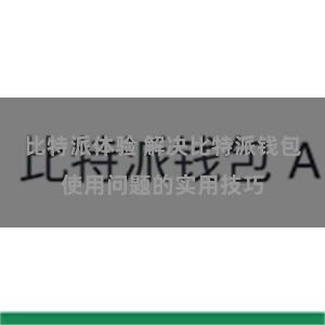 比特派体验 解决比特派钱包使用问题的实用技巧