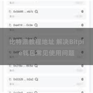 比特派教程地址 解决Bitpie钱包常见使用问题