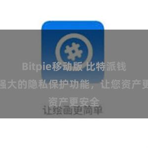 Bitpie移动版 比特派钱包：强大的隐私保护功能，让您资产更安全