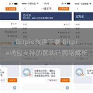 Bitpie教程下载 Bitpie钱包支持的区块链网络解析