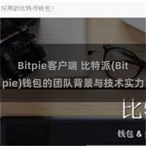 Bitpie客户端 比特派(Bitpie)钱包的团队背景与技术实力