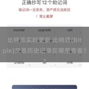 比特派实时更新 比特派(Bitpie)交易历史记录在哪里查看？