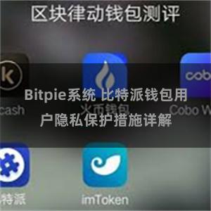 Bitpie系统 比特派钱包用户隐私保护措施详解