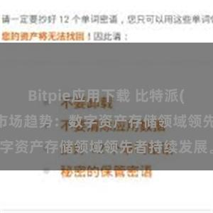 Bitpie应用下载 比特派(Bitpie)钱包市场趋势：数字资产存储领域领先者持续发展。