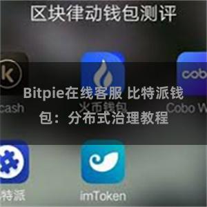 Bitpie在线客服 比特派钱包：分布式治理教程
