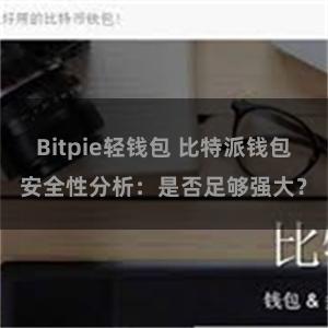 Bitpie轻钱包 比特派钱包安全性分析：是否足够强大？