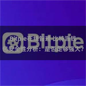 Bitpie在线管理 比特派钱包安全性分析：是否足够强大？