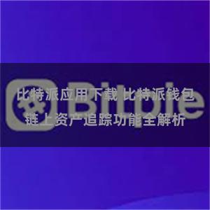 比特派应用下载 比特派钱包链上资产追踪功能全解析
