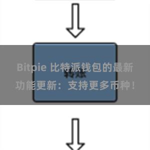 Bitpie 比特派钱包的最新功能更新：支持更多币种！
