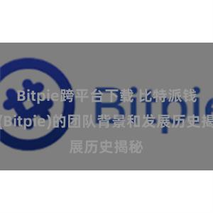 Bitpie跨平台下载 比特派钱包(Bitpie)的团队背景和发展历史揭秘