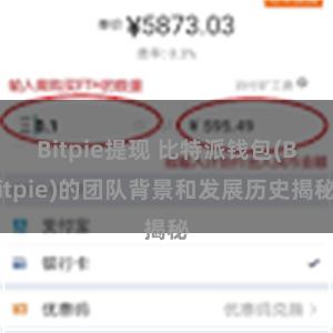 Bitpie提现 比特派钱包(Bitpie)的团队背景和发展历史揭秘