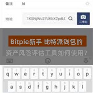 Bitpie新手 比特派钱包的资产风险评估工具如何使用？