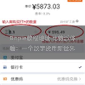 Bitpie教程地址 比特派体验：一个数字货币新世界