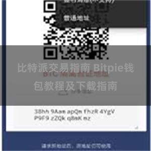 比特派交易指南 Bitpie钱包教程及下载指南