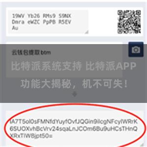 比特派系统支持 比特派APP功能大揭秘，机不可失！