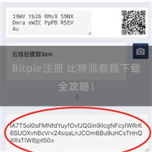Bitpie注册 比特派教程下载全攻略！
