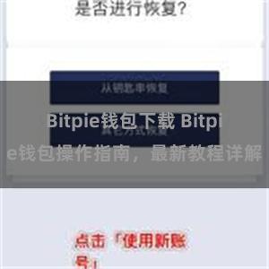 Bitpie钱包下载 Bitpie钱包操作指南，最新教程详解