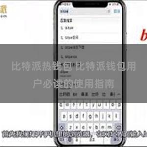 比特派热钱包 比特派钱包用户必读的使用指南
