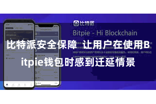 比特派安全保障  让用户在使用Bitpie钱包时感到迁延情景
