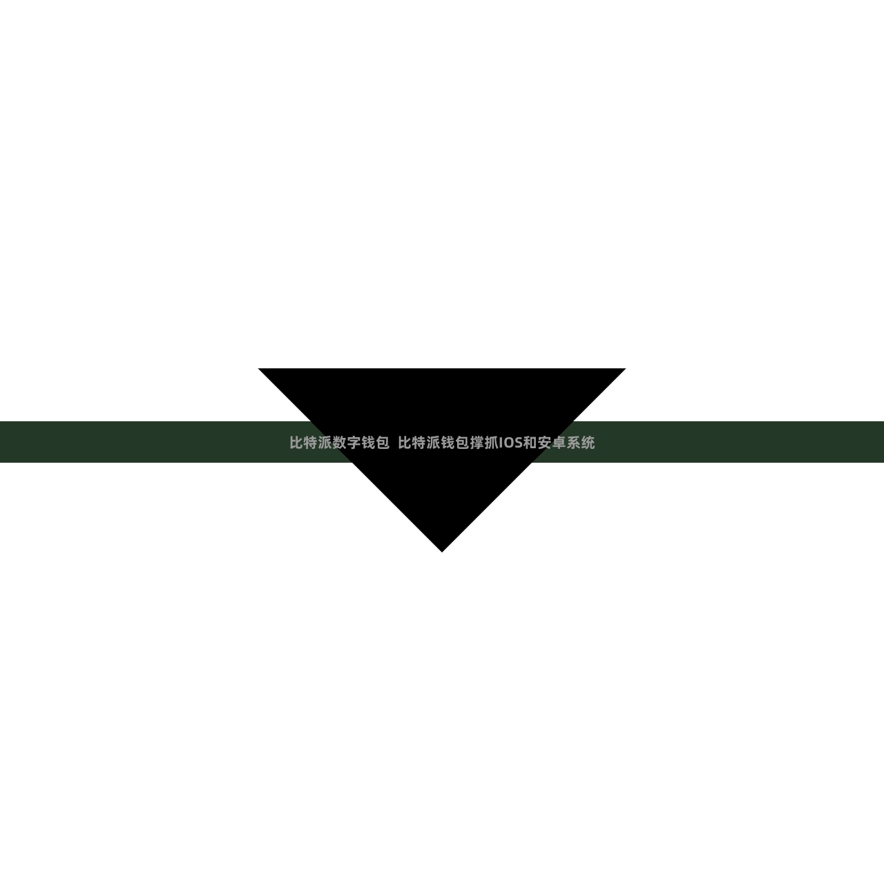 比特派数字钱包  比特派钱包撑抓IOS和安卓系统