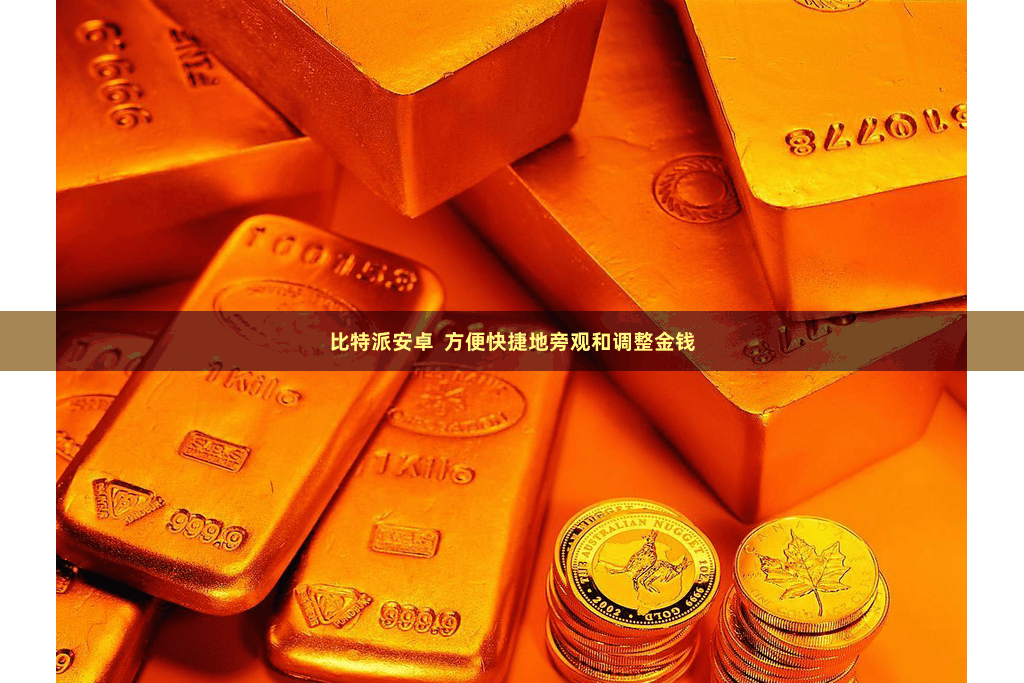 比特派安卓  方便快捷地旁观和调整金钱